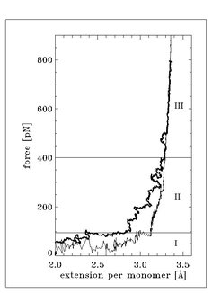 Figure 2: Force versus extension curves for PEG in water for pulling velocities 50 m/s (dashed line) and 7.5 m/s (bold line), respectively, as well as for PEG in gas phase (thin line). Three force regimes (I, II, and III) are distinguished and discussed in the text.