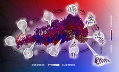 This illustration was prepared as the graphical abstract for the paper Driving forces and structural determinants of steric zipper peptide oligomer formation elucidated by atomistic simulations (J. Mol. Biol., 2012). It shows the projection of sampled conformational ensembles in atomistic molecular dynamics simulations of the spontaneous aggregation process of the PHF6 steric zipper peptide from the tau protein. The employed mapping technique is based on collective coordinates and each region of the projection corresponds to a distinct conformational state, as indicated by the representative conformational ensembles. Spheres in close spatial proximity in the projection represent configurations with high structural similarity. The color shades encode conformations from different independent simulations and highlight the similarities and differences in the conformational states and assembly pathways in the oligomerization process of the amyloidogenic peptide sequence. Tools: Pymol, Adobe Illustrator, Keynote.