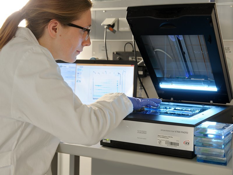 Integrated Structural Biology