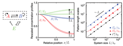 Self-organizing pattern reaction scheme including an expander (E), that allows pattern scaling over 3 orders of magnitude (Werner et al. 2015).