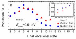 Figure 1: Final vibrational state distribution for scattering NO(v=11) from a Au(111) surface with different molecular orientations. The inset shows the relaxation probability for NO(v=11) at different incident translational energies.