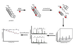 © Max Planck Institute for Biophysical Chemistry