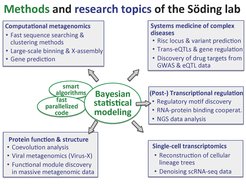 Research topics and methods of our lab