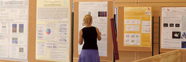 Soft Skill Seminars Soft Skill Seminars