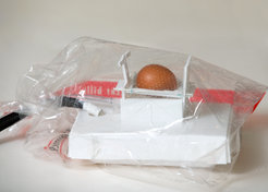 The self designed breeding cavity consisted of a mouse cage, a heater spiral and a ventilated plastic bag. The air humidity was ensured by a little water basin beneath the egg.