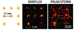 With MINFLUX microscopy one can, for the first time, separate molecules optically which are only a few nanometers apart from each other. On the left, a schematic of the fluorescing molecules is presented. Whereas the ultra-high resolution PALM/STORM microscopy at the same molecular brightness (right) delivers a diffuse image of the molecules (here in a simulation under ideal technical conditions), the position of the individual molecules can be easily discerned with the practically realized MINFLUX (middle).