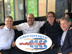 Das Forscherkonsortium: Prof. Dr. Dirk Görlich, Prof. Dr. Stefan Raunser, Prof. Dr. Frank Schnorrer und Prof. Dr. Mathias Gautel (v. links).